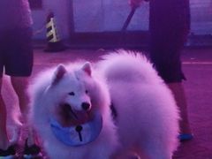 -招商银行(深圳东滨支行)