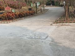 -南丹山森林王国