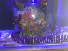 -太平洋海底世界