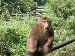 -峨眉山风景名胜区