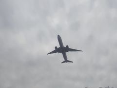 -空港花田景区