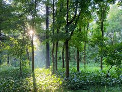 -长春市南湖公园