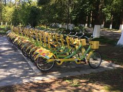 -黄海国家森林公园