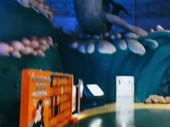 -烟台海昌鲸鲨海洋公园