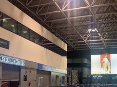 -米兰马尔彭萨国际机场