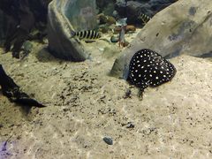 -江和美海洋公园