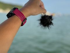 -外伶仃岛海鲜市场