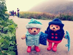 android_upload_pic-广州市石门国家森林公园