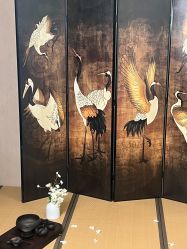 -鼎极摄影(蓝色港湾店)
