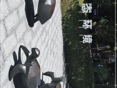 -广东惠东海龟国家级自然保护区