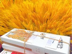 -阮大兴糕团(日月光中心店)