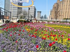 -中山公园