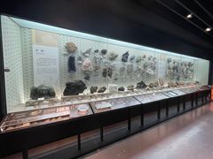 -浙江自然博物院(杭州馆)