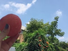 -风味烧烤
