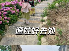 -都江堰玫瑰花溪谷