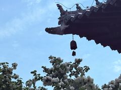 -报恩寺(平武县)