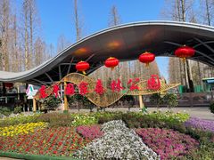 -东平国家森林公园