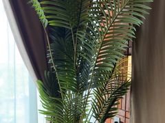 -泰合玺·精油疗愈SPA(狮山天街生活广场店)