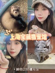 -神奇动物撸宠馆·羊驼·小浣熊·异宠(豫园店)