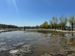 -绿堤公园