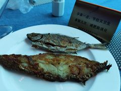 -瑞德姆美人鱼海底演艺主题餐厅(亚龙湾店)