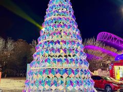 -沈阳奥体冰雪嘉年华
