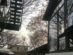 -喜洲吧·江畔老船厂·庭院餐厅(喜临院店)