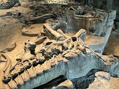 -自贡恐龙博物馆