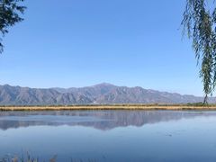 -野鸭湖国家湿地公园