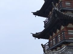 -上海方塔园