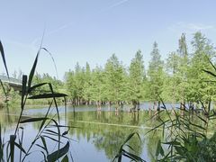 -白鹭湾湿地公园