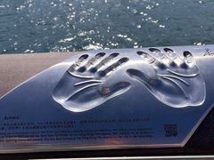 -星光大道