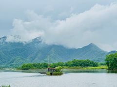-大九湖