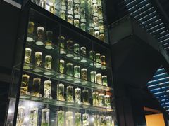 -广东中医药博物馆