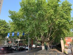 -南京钟山宾馆(江苏省会议中心)