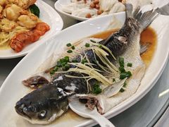 清远吊水油盐皖鱼-瑞记湛江鸡饭店·粤西第一鸡(粤垦店)