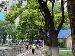 -西北湖绿化广场