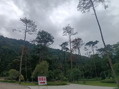 -福清灵石山国家森林公园
