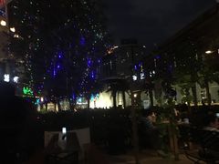 -Paulaner·德国帕拉娜自酿啤酒餐厅(海上世界店)