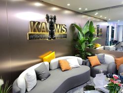 -INS羽毛接发·巴黎画染