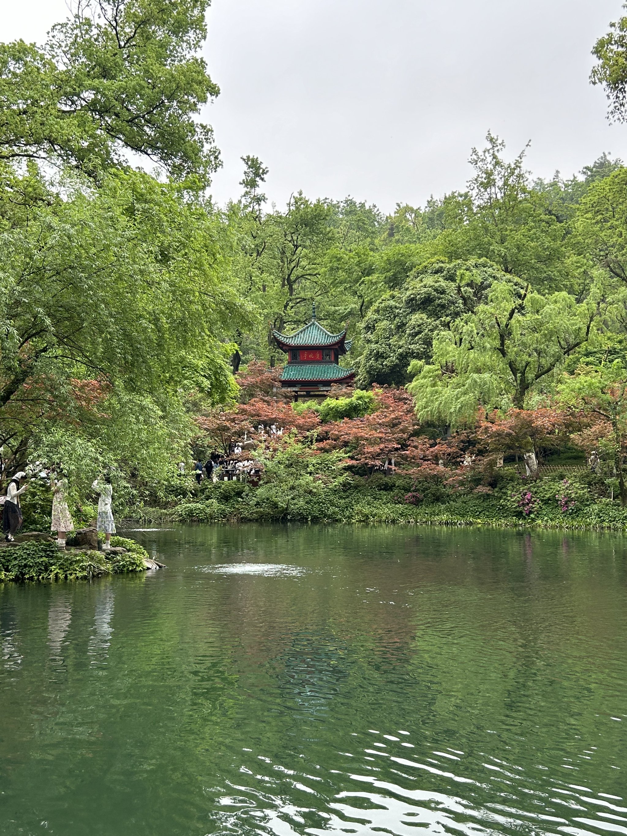 岳麓山春天的景色图片