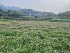-常德桃花源景区