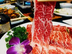 -金龙·打边炉(南京西路店)