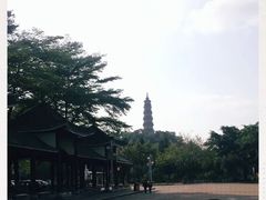 -顺峰山公园