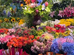 -朝来春花卉市场