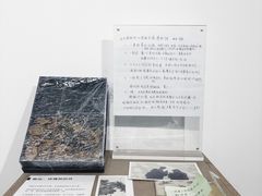 -成都失恋馆
