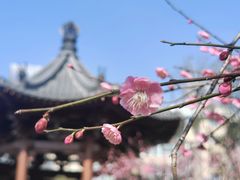 -浙江西湖美术馆