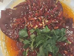 -杨氏青龙虾·羊蝎子(珠江路店)