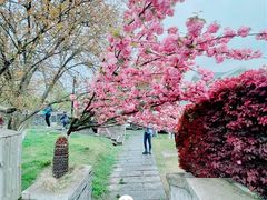 -南京城墙景区