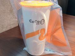 -CoCo都可(包河万达店)